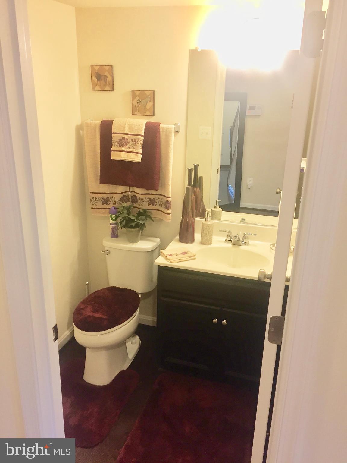 9702 Smithview Place Lanham, MD 20706 - Photo 4 of 15 Bath (Bottom level bath)