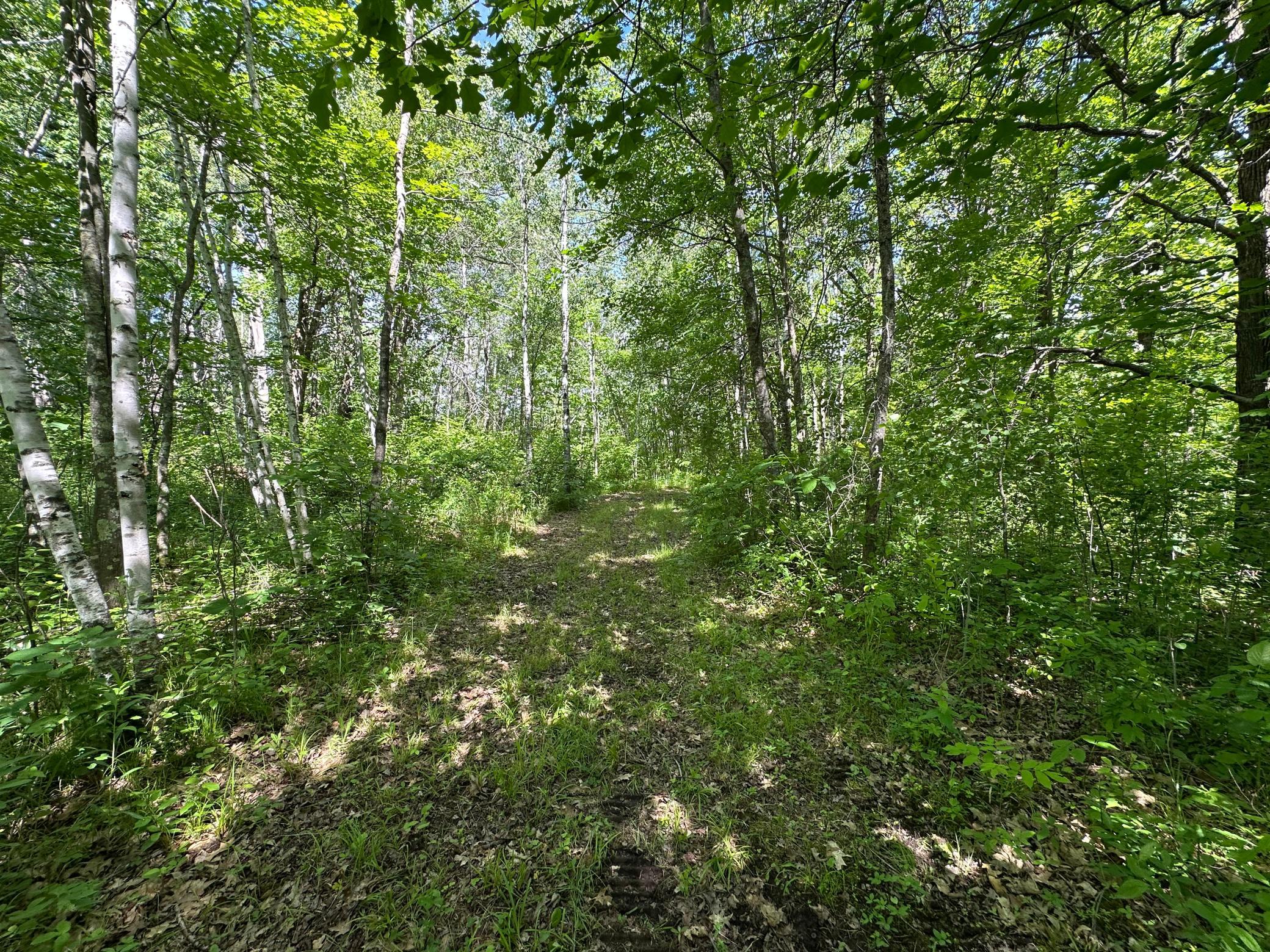 89225 Little Oak Lake Road Kerrick, MN 55756 - Photo 15 of 33