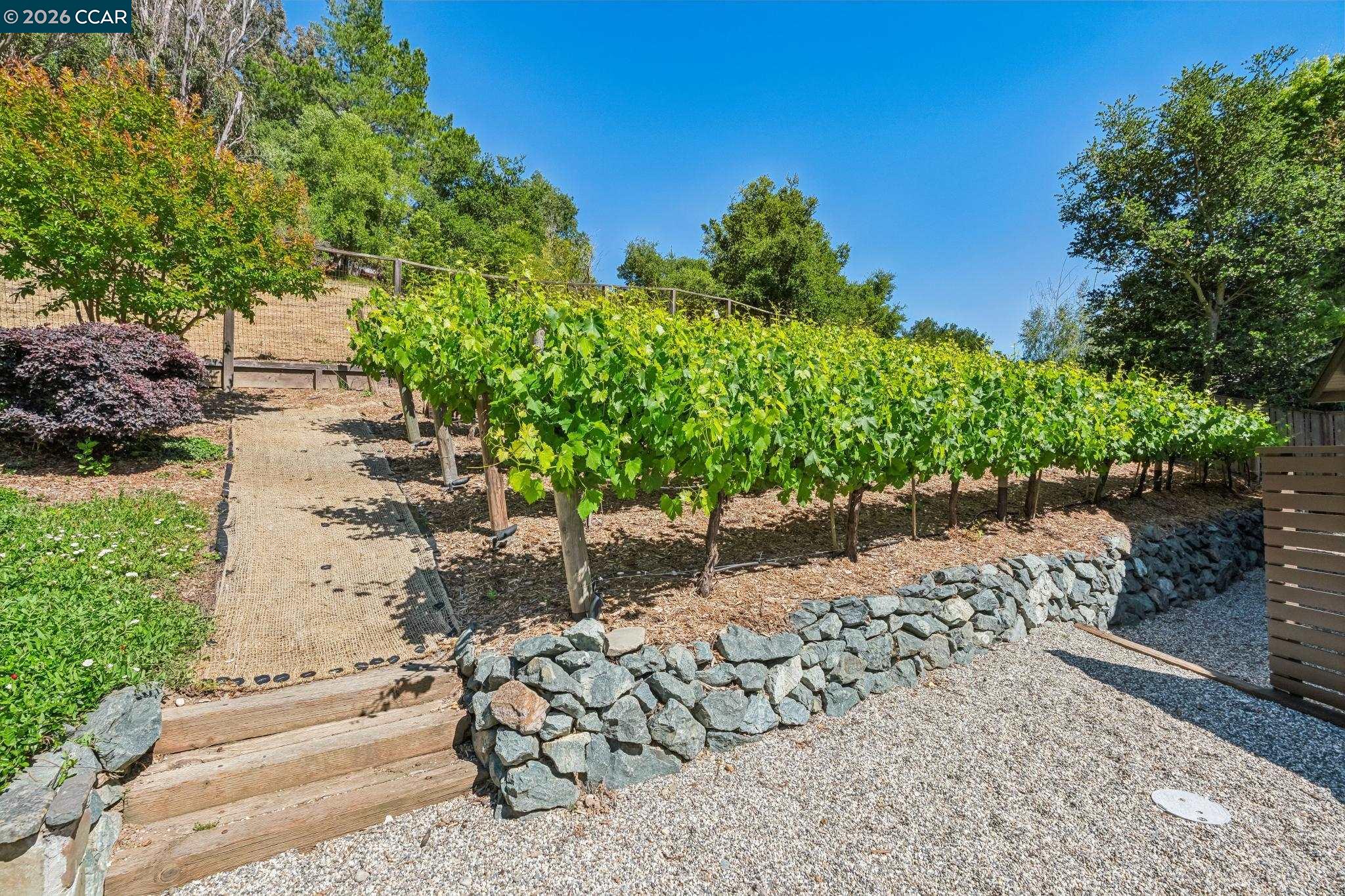 1409 Rimer Drive Moraga, CA 94556 - Photo 47 of 56