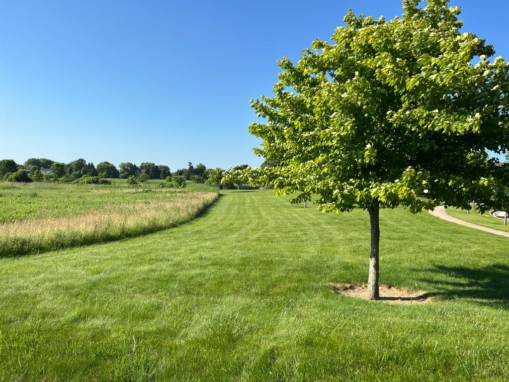 2148 Bartram Road North Aurora, IL 60542 - Photo 5 of 12 a view of a golf course with a lake view