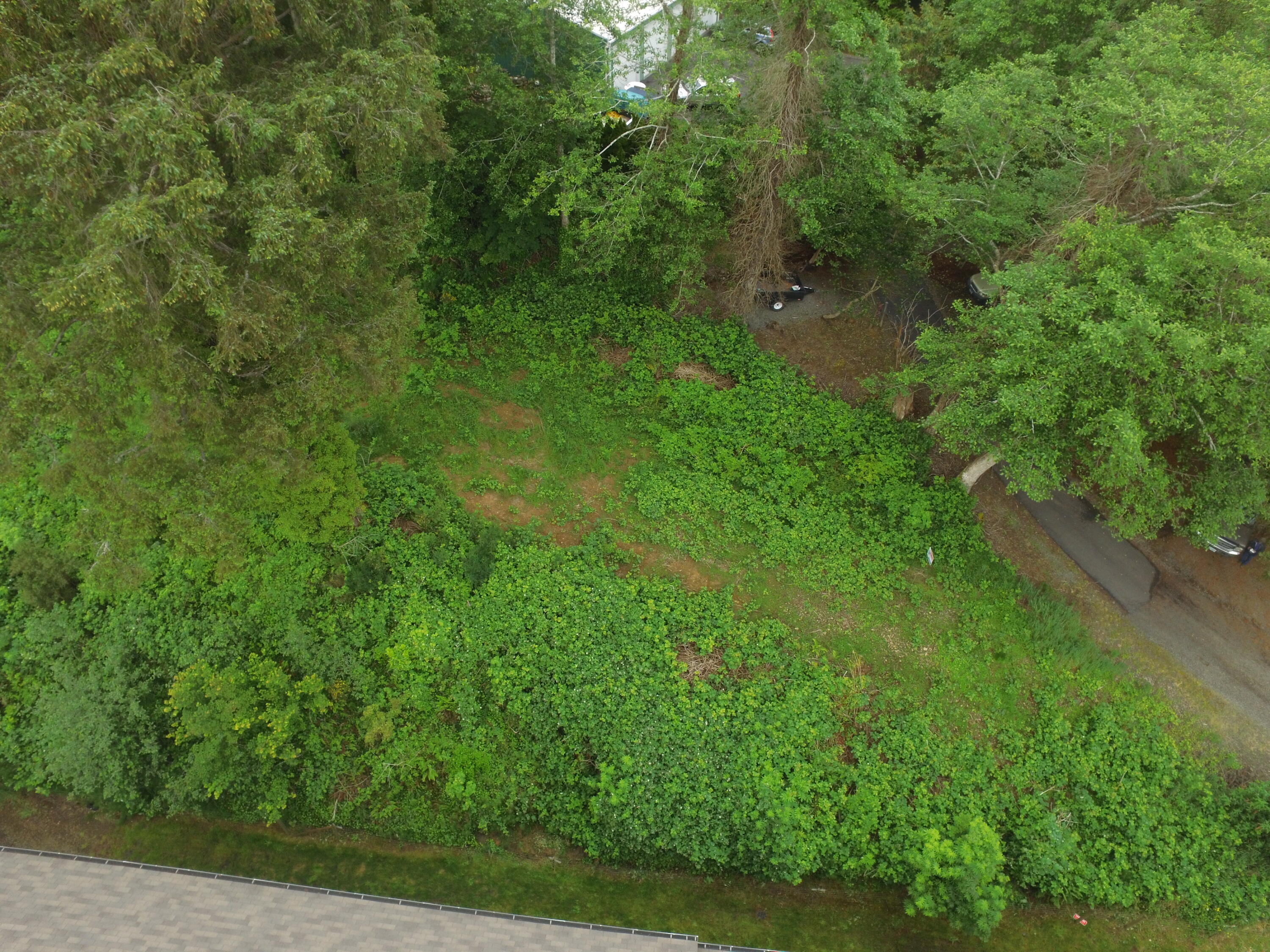 Vl Halverson Lane Garibaldi, OR 97118 - Photo 9 of 19 DJI_0014