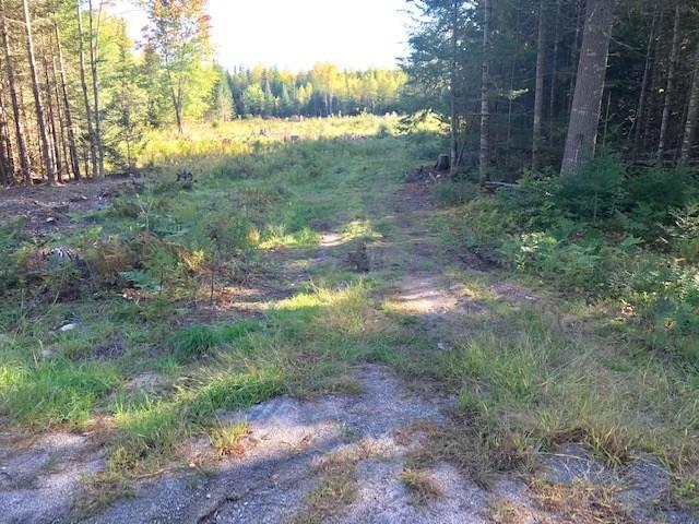 131 Jacob Buck Pond Road Bucksport, ME 04416 - Photo 3 of 11 Photo