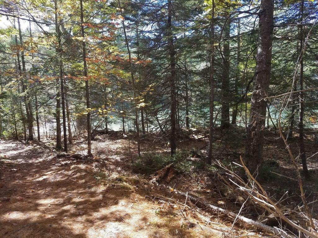241 Ox Cove Road Pembroke, ME 04666 - Photo 11 of 29 Photo