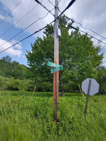 a view of a garden with a yard and plants