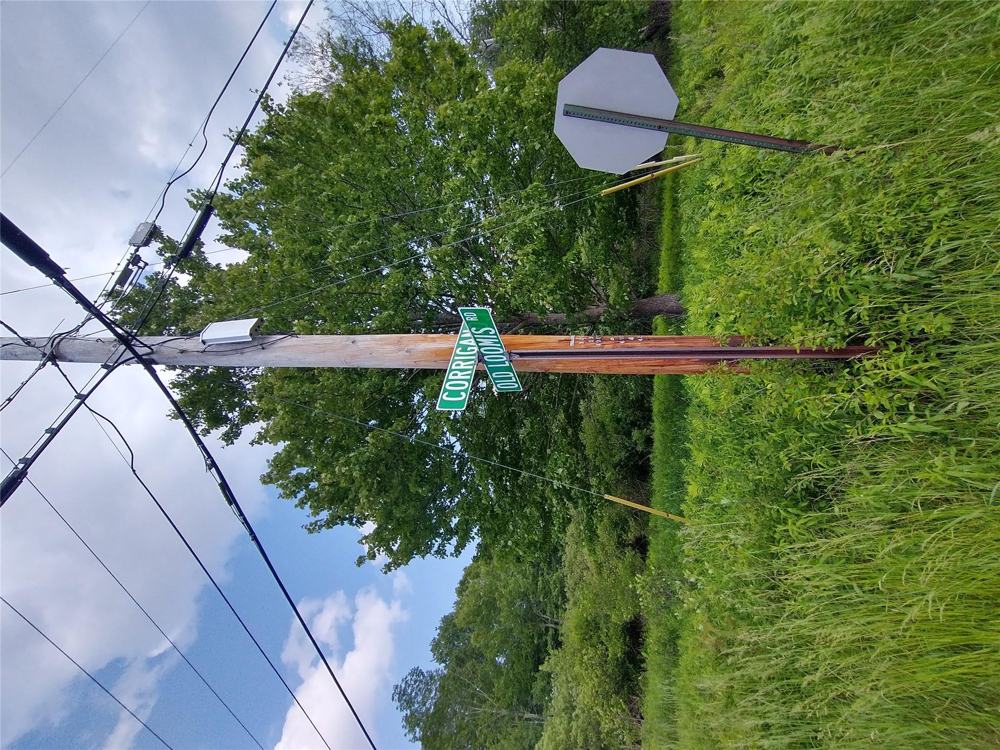 a view of a garden with a yard and plants