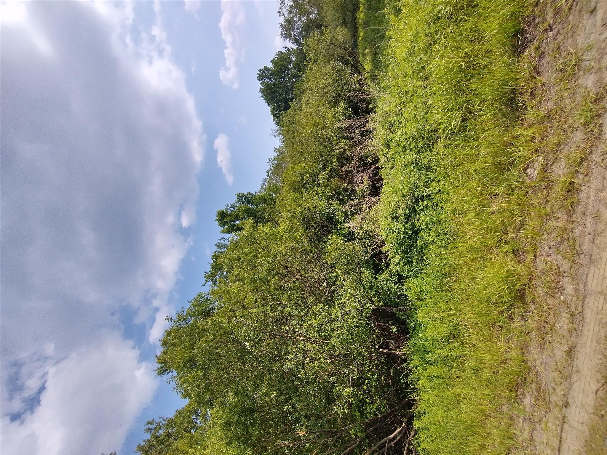 Old Loomis Road Liberty, NY 12734 - Photo 14 of 17 a view of a lake with a yard