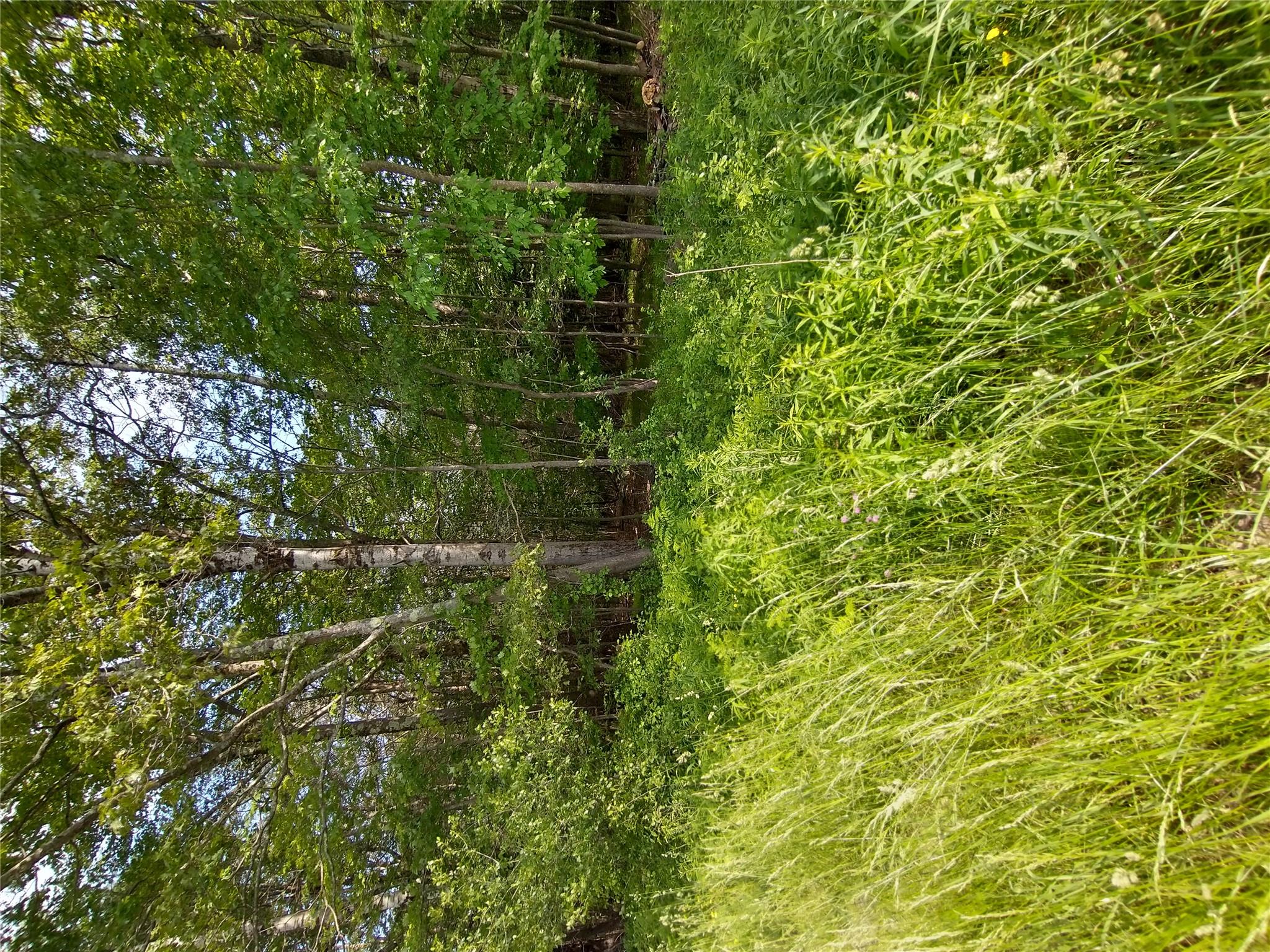 Old Loomis Road Liberty, NY 12734 - Photo 15 of 17 a view of an outdoor space and a yard
