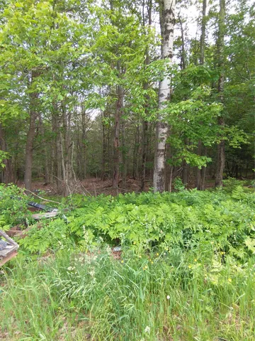 a backyard of a house with lots of green space and fountain