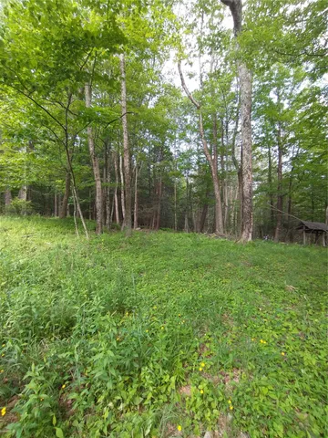 a backyard of a house with trampoline