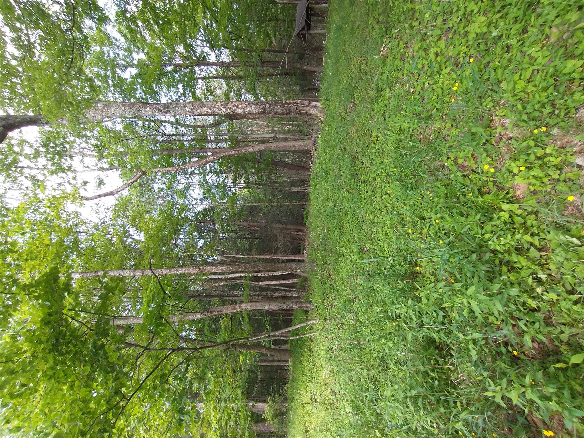 Old Loomis Road Liberty, NY 12734 - Photo 9 of 17 a backyard of a house with trampoline