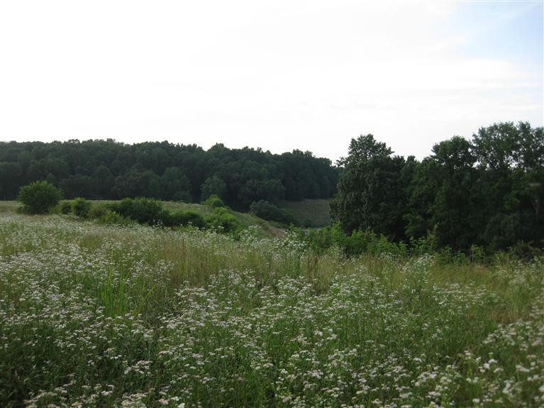 329 Green Acres Road London, KY 40744 - Photo 5 of 6 Photo 5