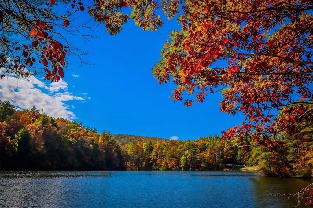 439 Buck Creek Road Ellijay, GA 30540 - Photo 10 of 11