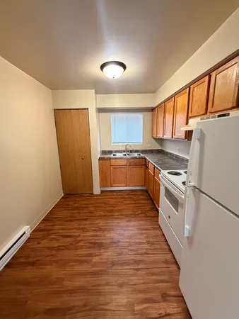 $1,450 | 25731 West Bridge Street, Unit 3, Channahon, IL 60410