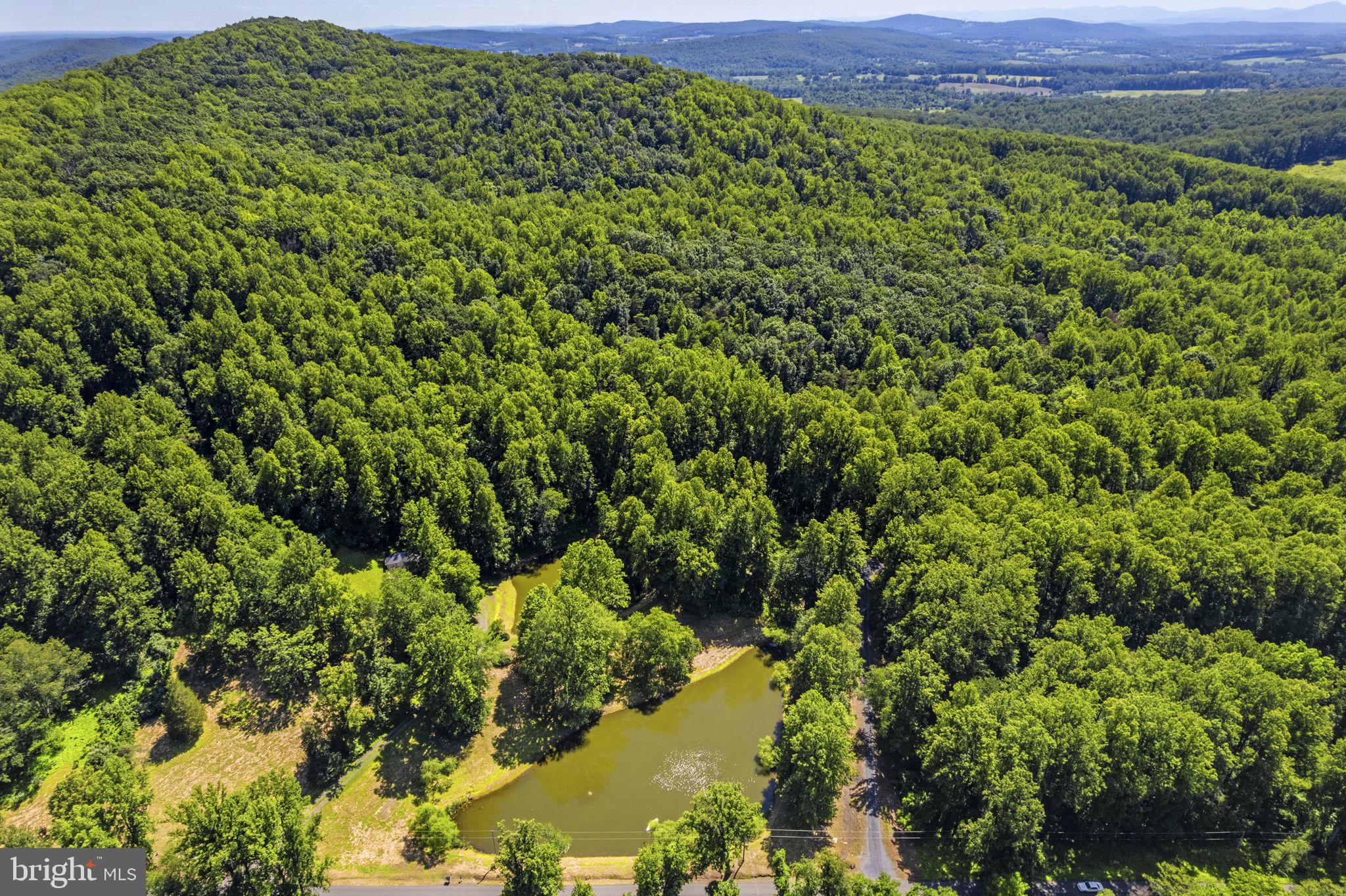 4639 Hopewell Road The Plains, VA 20198 - Photo 31 of 58