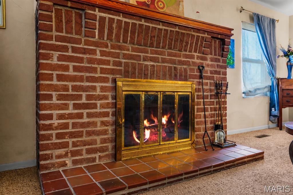 620 East Reily Street Marissa, IL 62257 - Photo 7 of 45