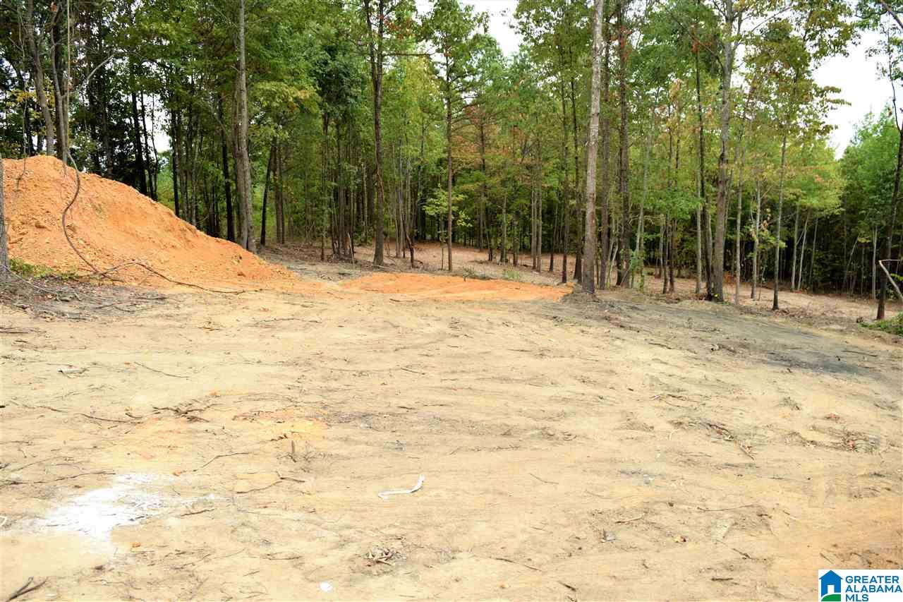 238 Tyler Road Remlap, AL 35133 - Photo 11 of 31