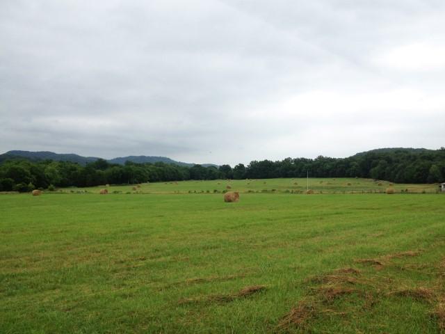 5 Pruitt Road Christiana, TN 37037 - Photo 1 of 2 Gallery Image 1