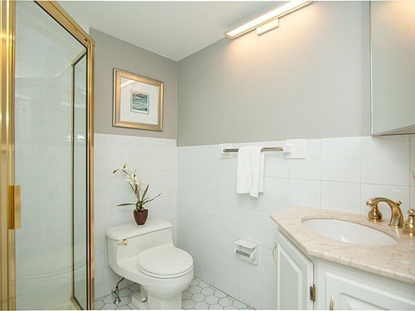46 Ferncroft Road Newton, MA 02468 - Photo 10 of 17