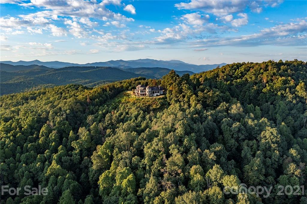 125 Stone Brook Trail Black Mountain, NC 28711 - Photo 2 of 48