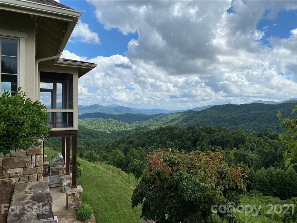 125 Stone Brook Trail Black Mountain, NC 28711 - Photo 40 of 48 a view of a yard with plants and a bench