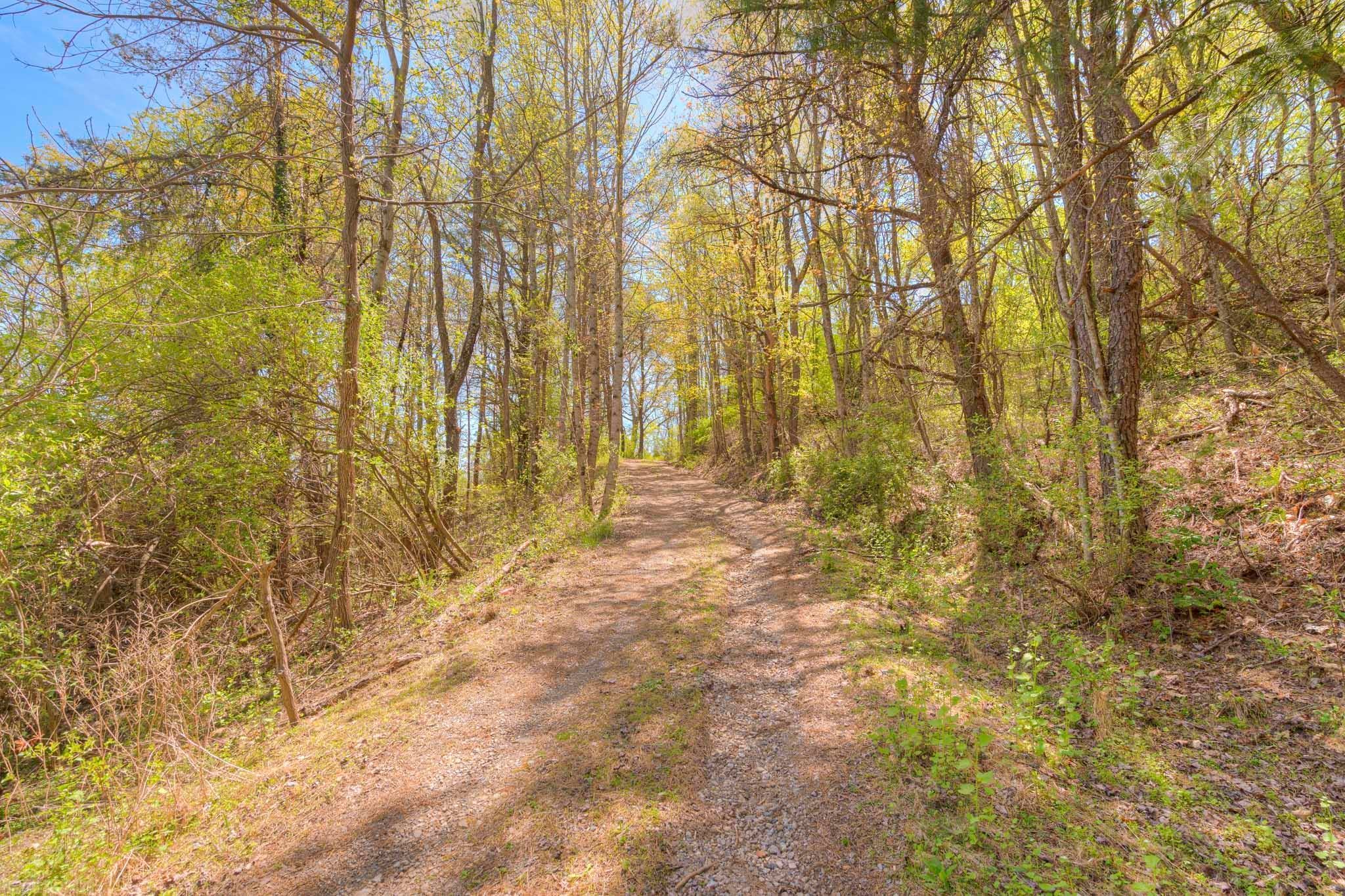 3300 Old Farm Road Blacksburg, VA 24060 - Photo 5 of 48 Gallery Image 5