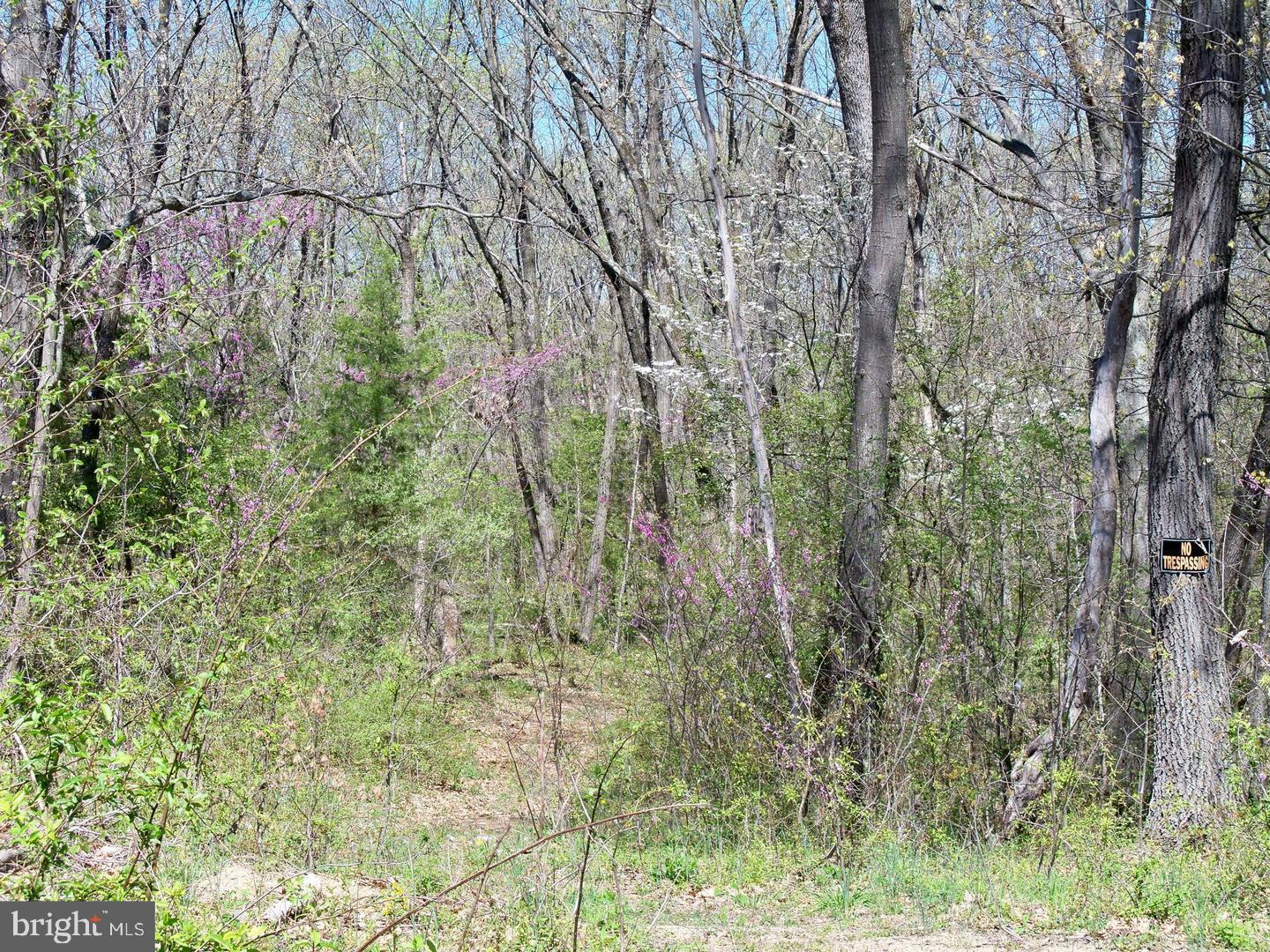 Lot 33 Nestle Quarry Road Falling Waters, WV 25419 - Photo 21 of 27