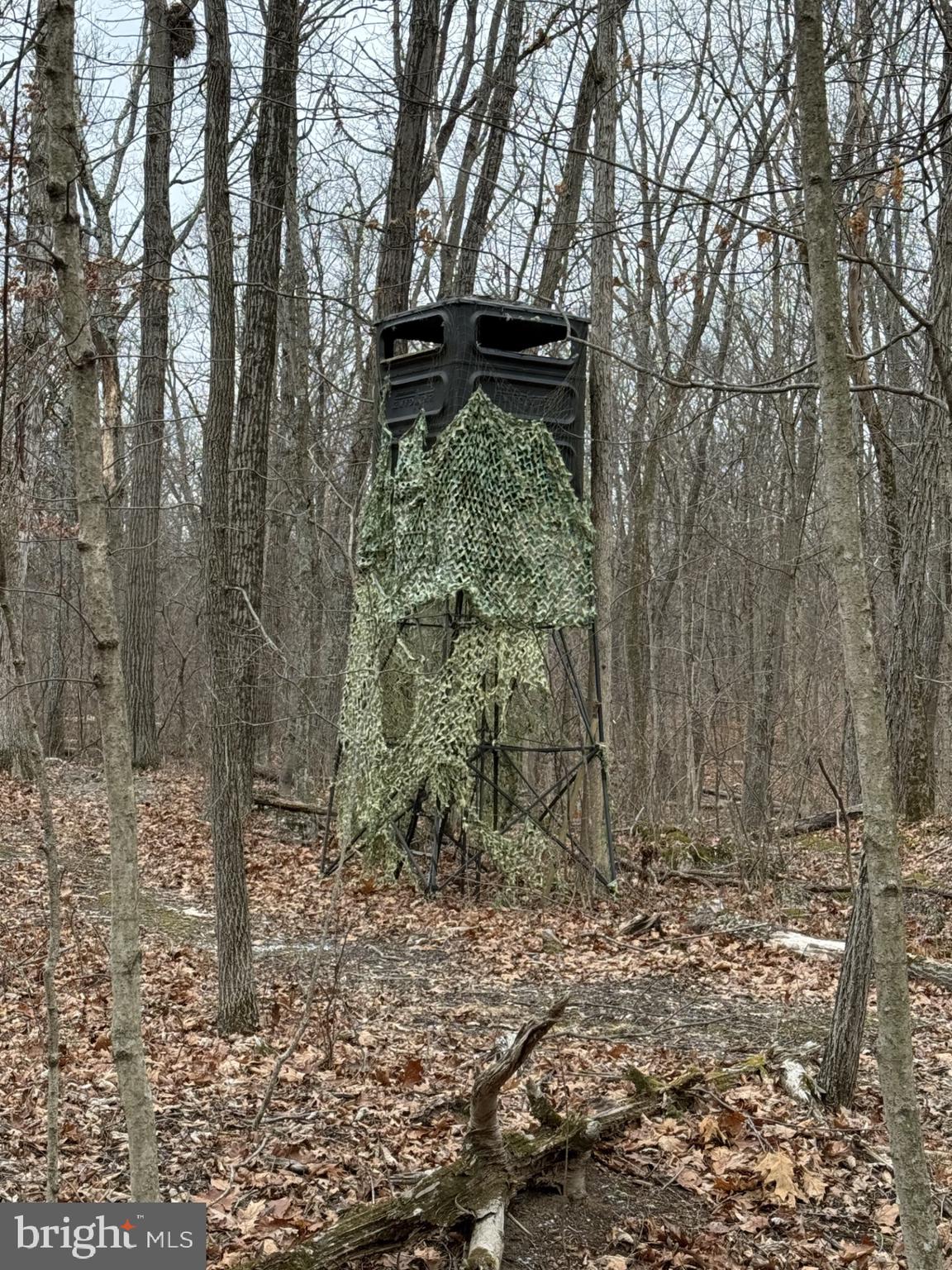 Lot 33 Nestle Quarry Road Falling Waters, WV 25419 - Photo 5 of 27 a backyard of a house with lots of green space