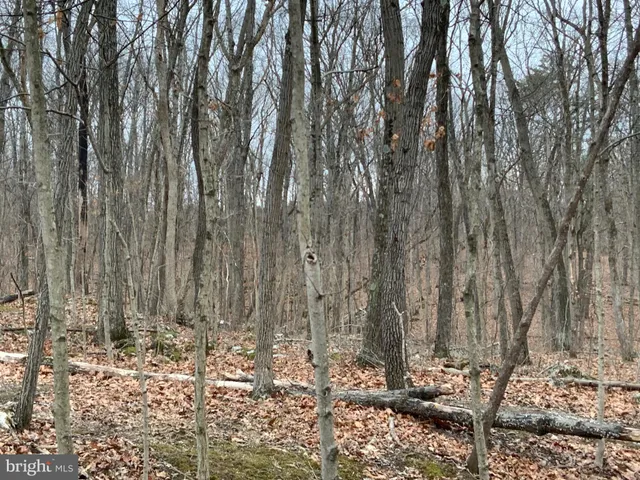 a view of wooden fence