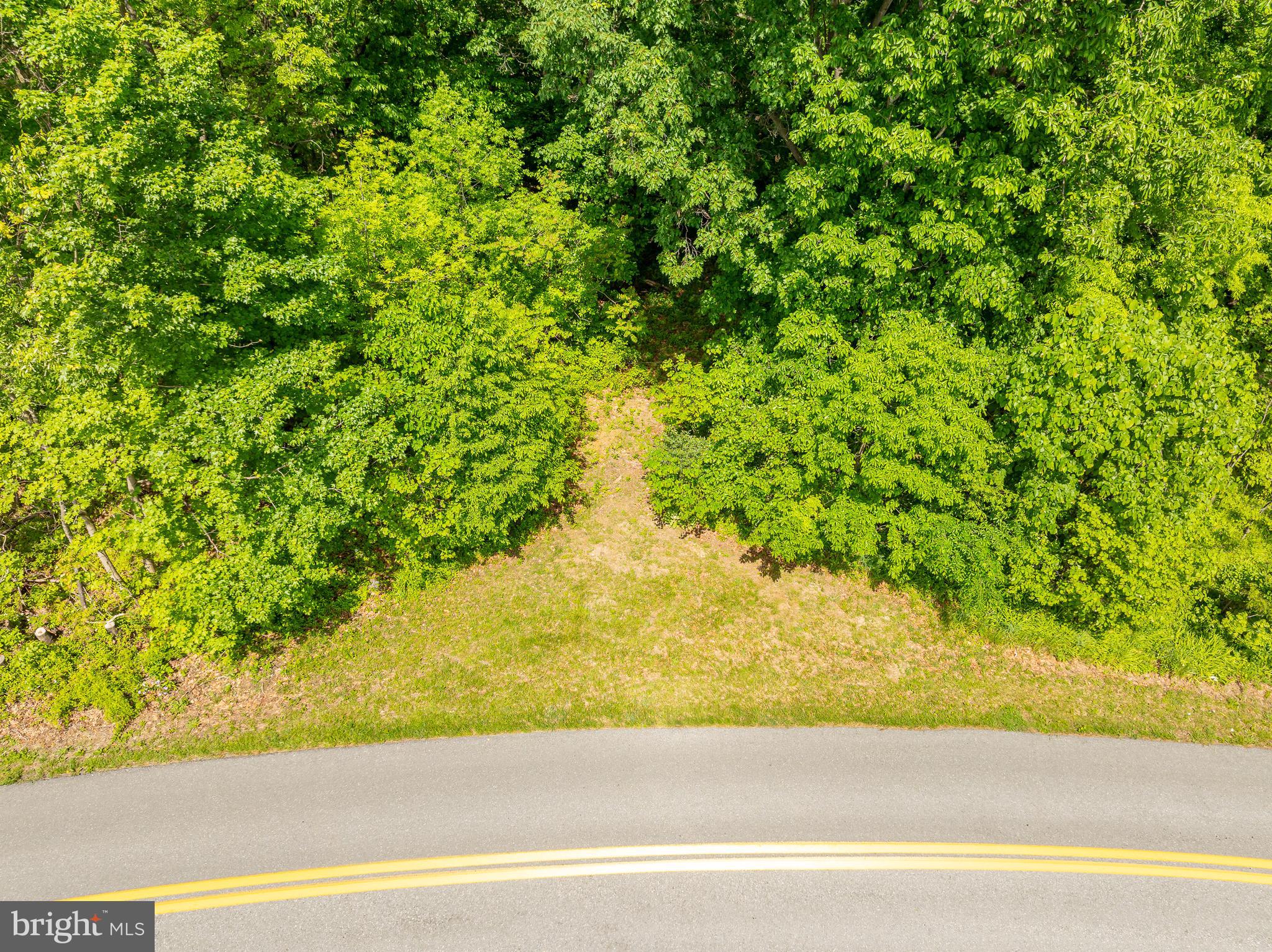 Lot 33 Nestle Quarry Road Falling Waters, WV 25419 - Photo 10 of 27 a view of a wooden floor with a yard