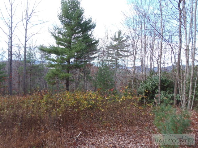 Lot 19 Talons Boone, NC 28607 - Photo 1 of 3 Gallery Image 1