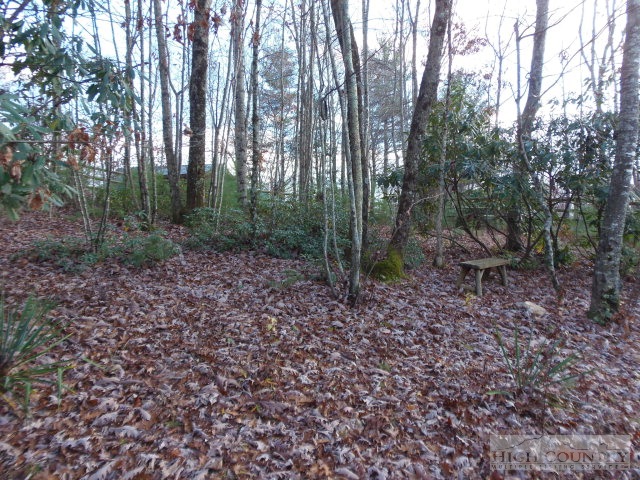 Lot 19 Talons Boone, NC 28607 - Photo 3 of 3 Gallery Image 3