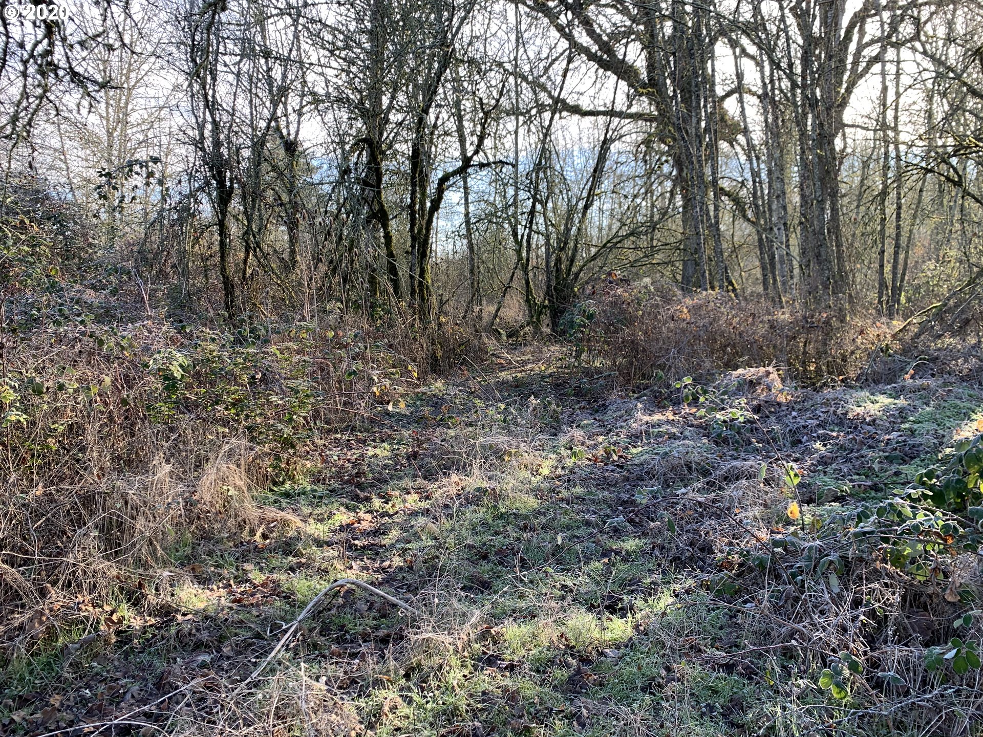 0 South Macksburg Road Canby, OR 97013 - Photo 3 of 3