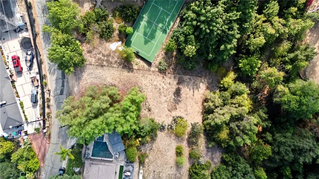 an aerial view of a yard with plants
