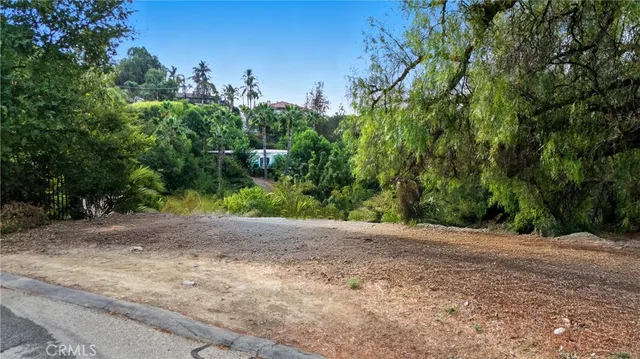 a view of a field with plants and trees