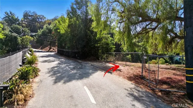 a view of plant on the ground