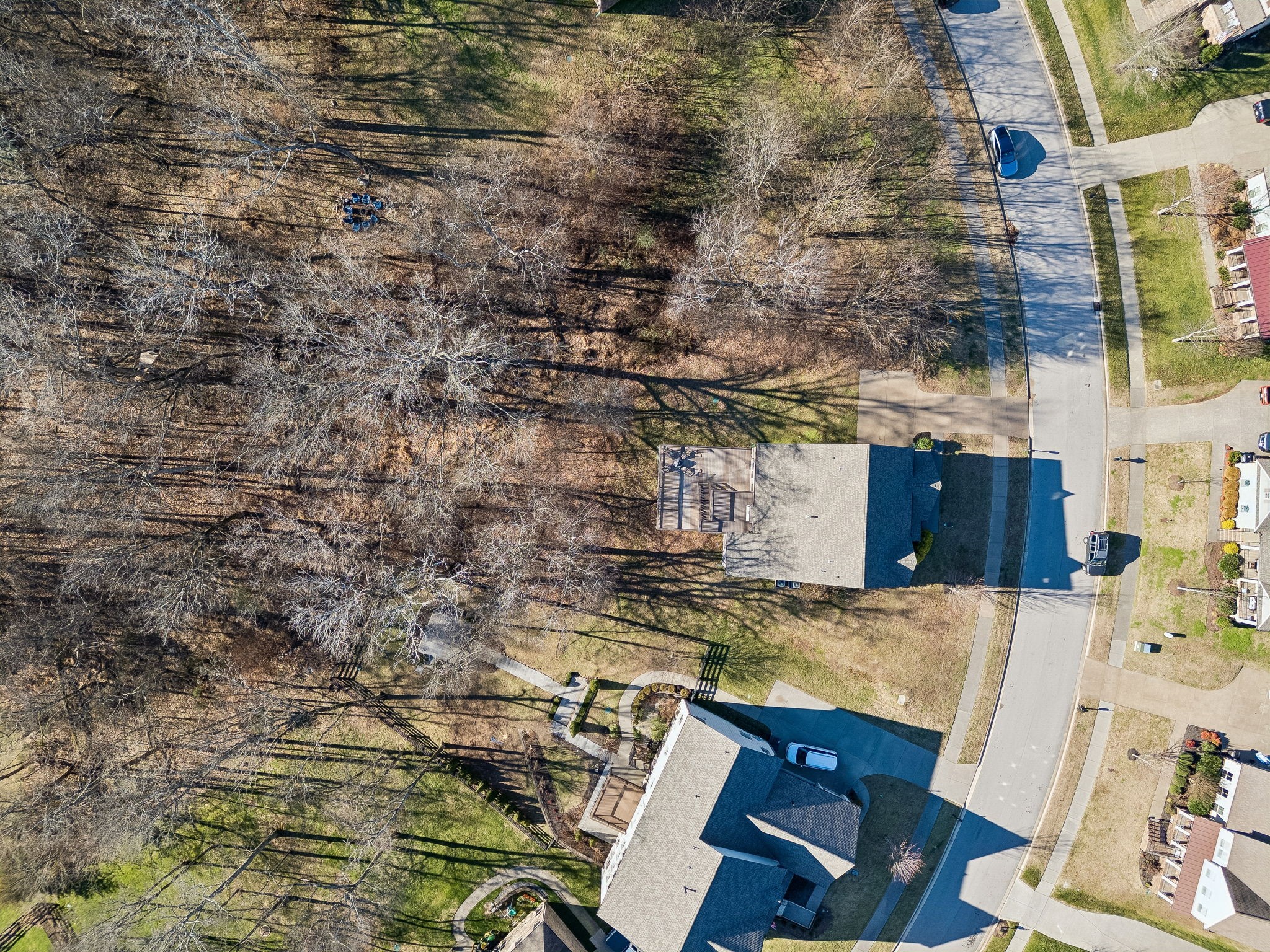 6820 Falls Ridge Lane College Grove, TN 37046 - Photo 50 of 67