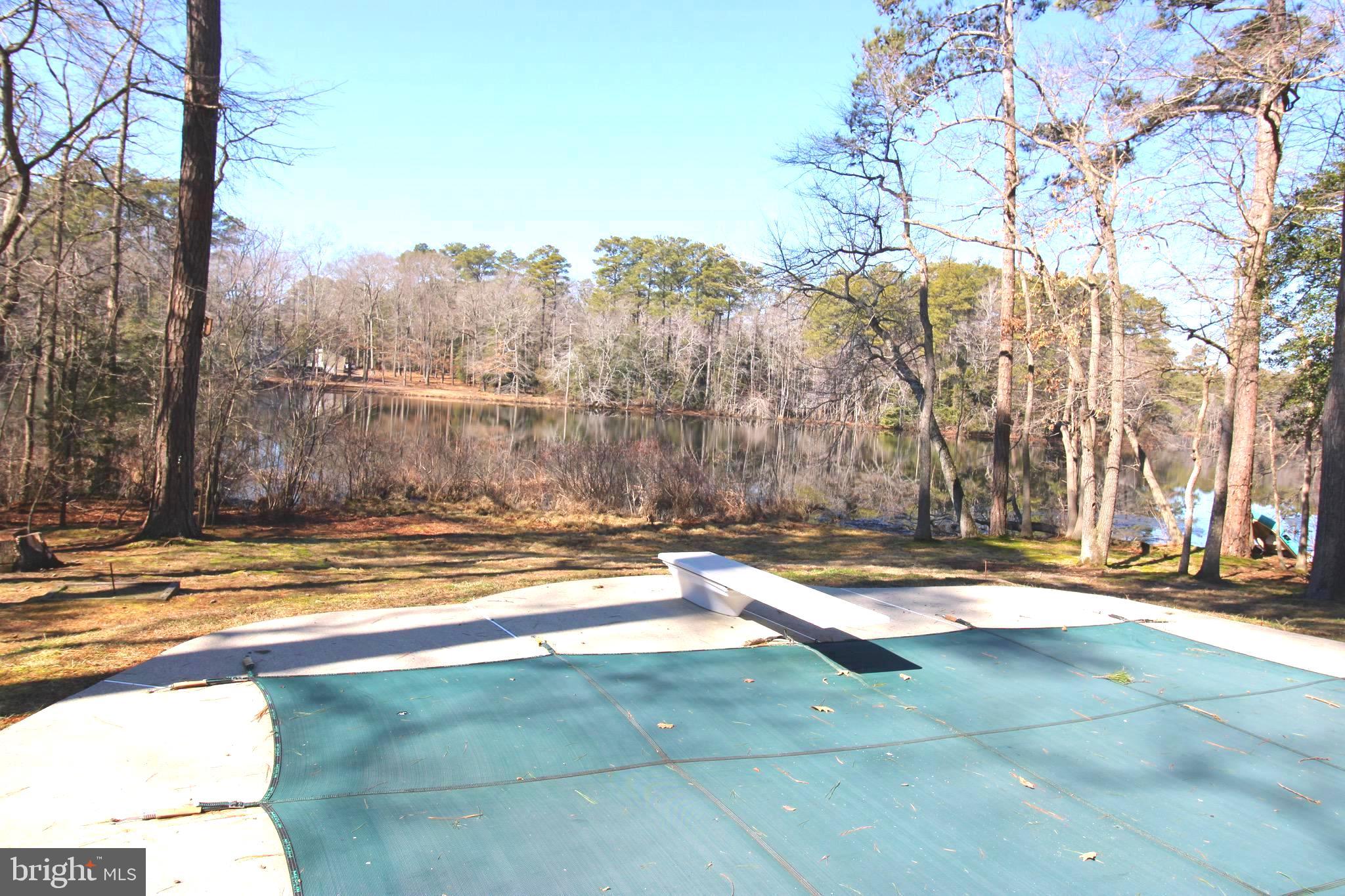 5632 Galestown - Reliance Road Rhodesdale, MD 21659 - Photo 3 of 25 a view of a yard with large trees