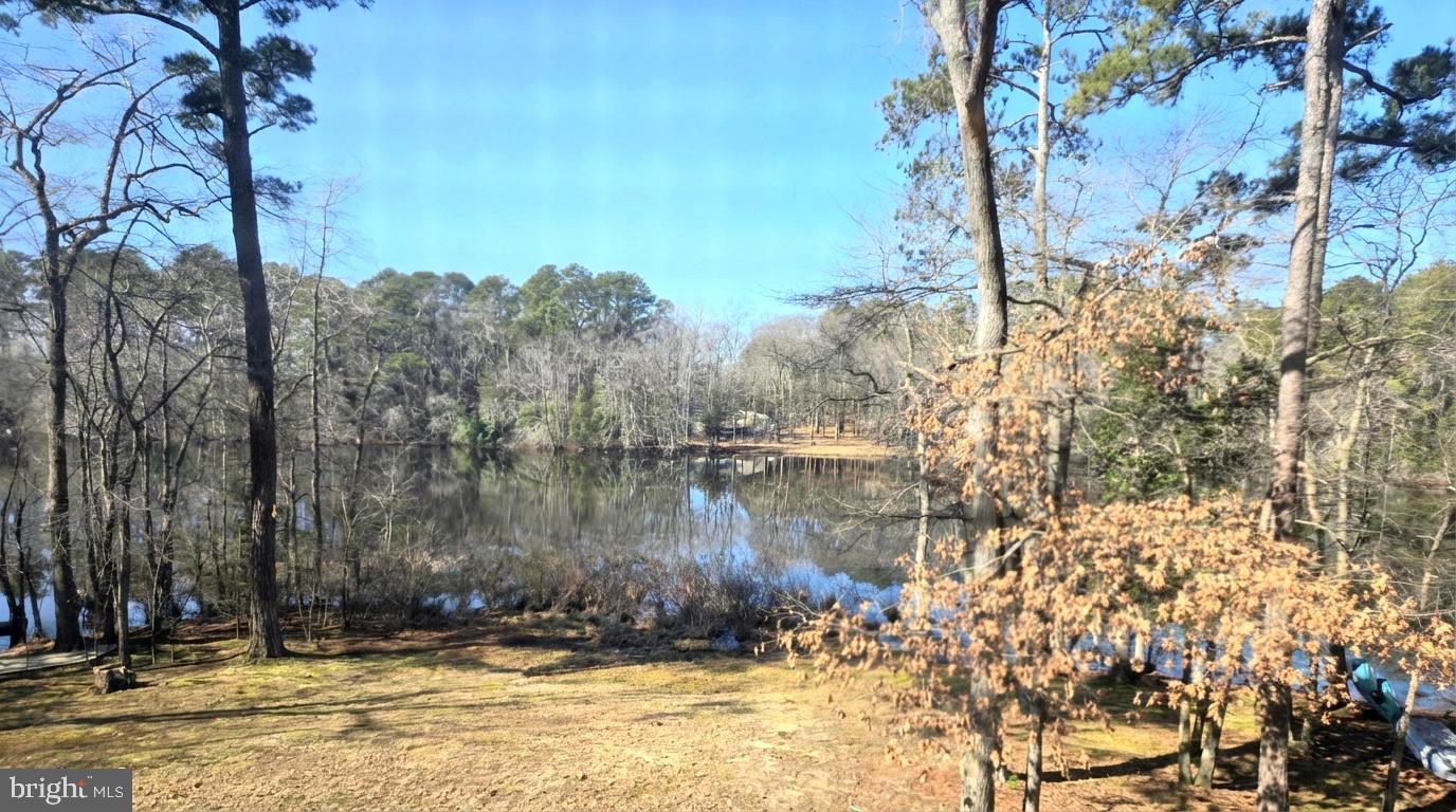 5632 Galestown - Reliance Road Rhodesdale, MD 21659 - Photo 8 of 25