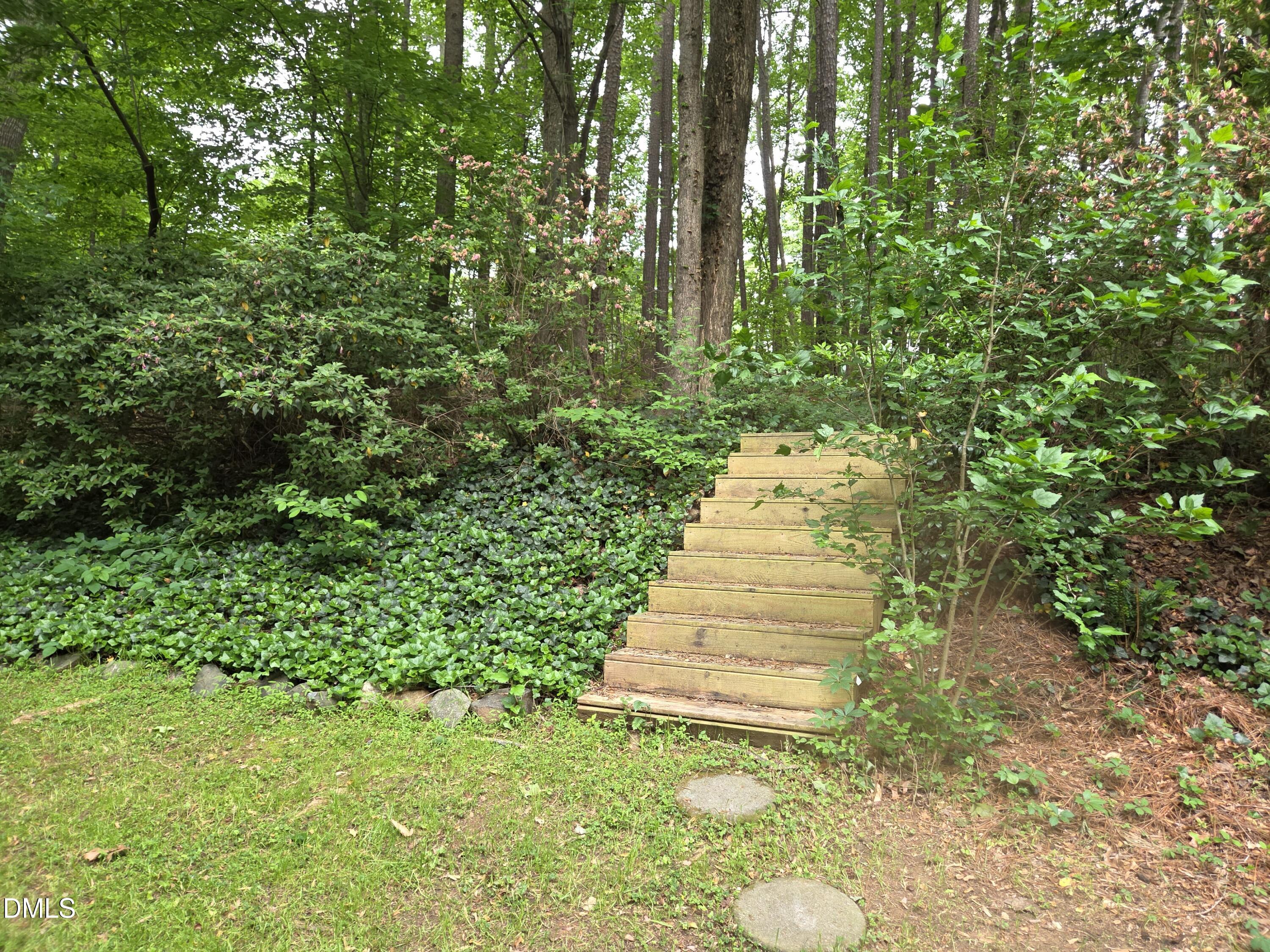 4225 Worley Drive Raleigh, NC 27613 - Photo 50 of 65 Backyard stairs