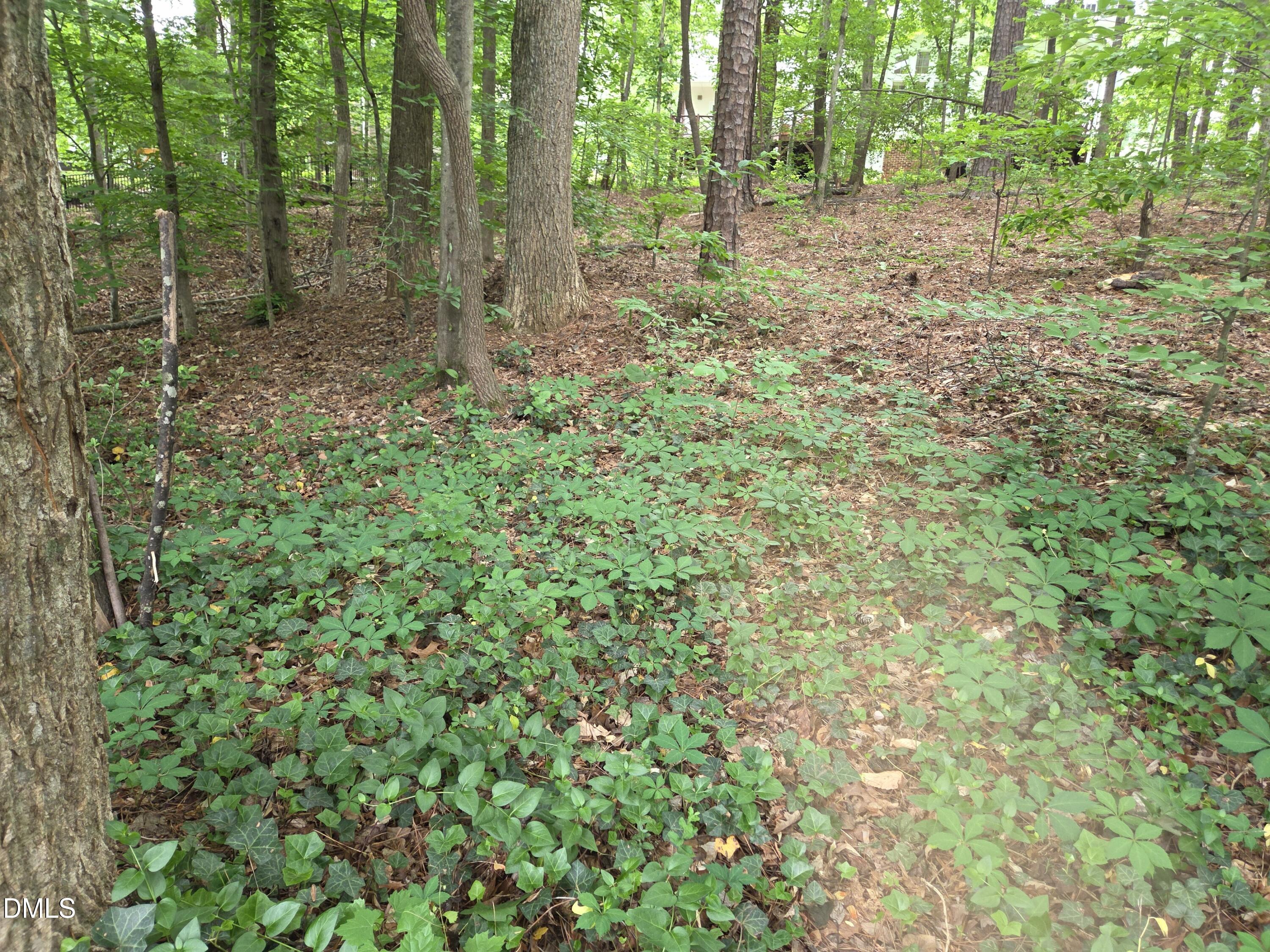 4225 Worley Drive Raleigh, NC 27613 - Photo 51 of 65 Extended backyard space