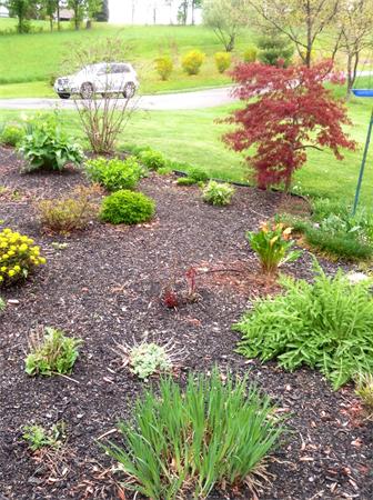 780 Greenfield Road Leyden, MA 01337 - Photo 7 of 24