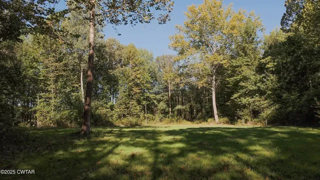 a view of outdoor space with trees