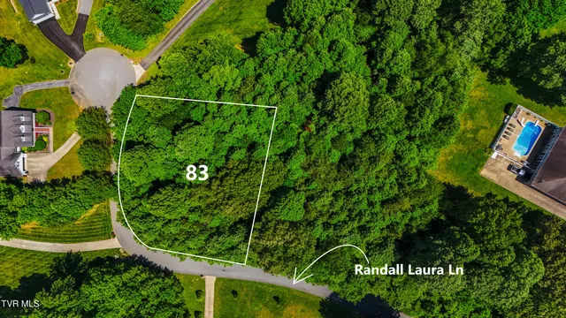 $37,500 | 0 Randall Laura Lane, Unit 93, Bluff City, TN 37618