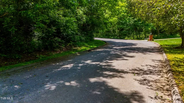 $37,500 | 0 Randall Laura Lane, Unit 93, Bluff City, TN 37618