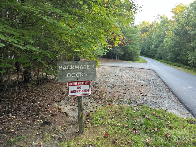 a view of a forest with trees in the background