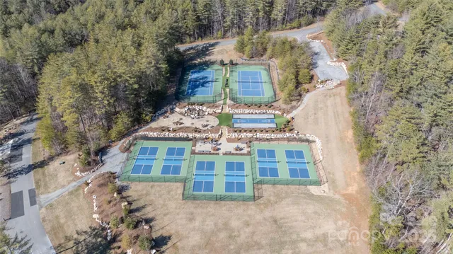 a view of a yard with plants
