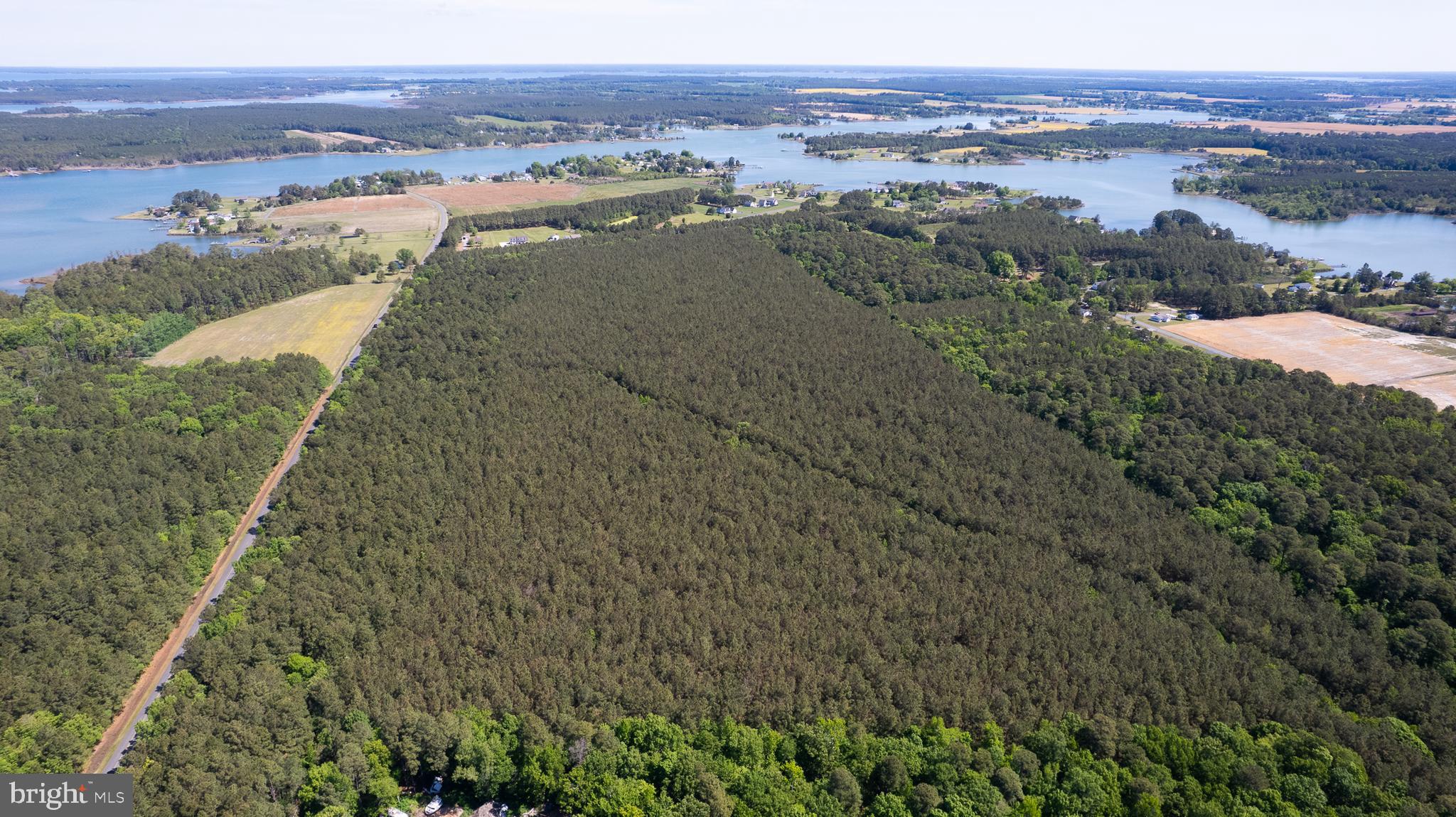 91+/- Wooded Acres Aerial
