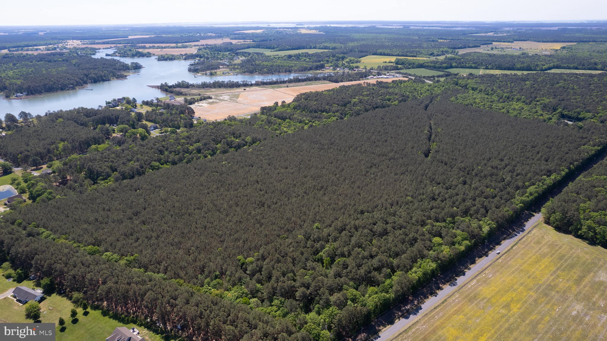 Taylors Island Road Woolford, MD 21677 - Photo 11 of 21 Wooded Aerial