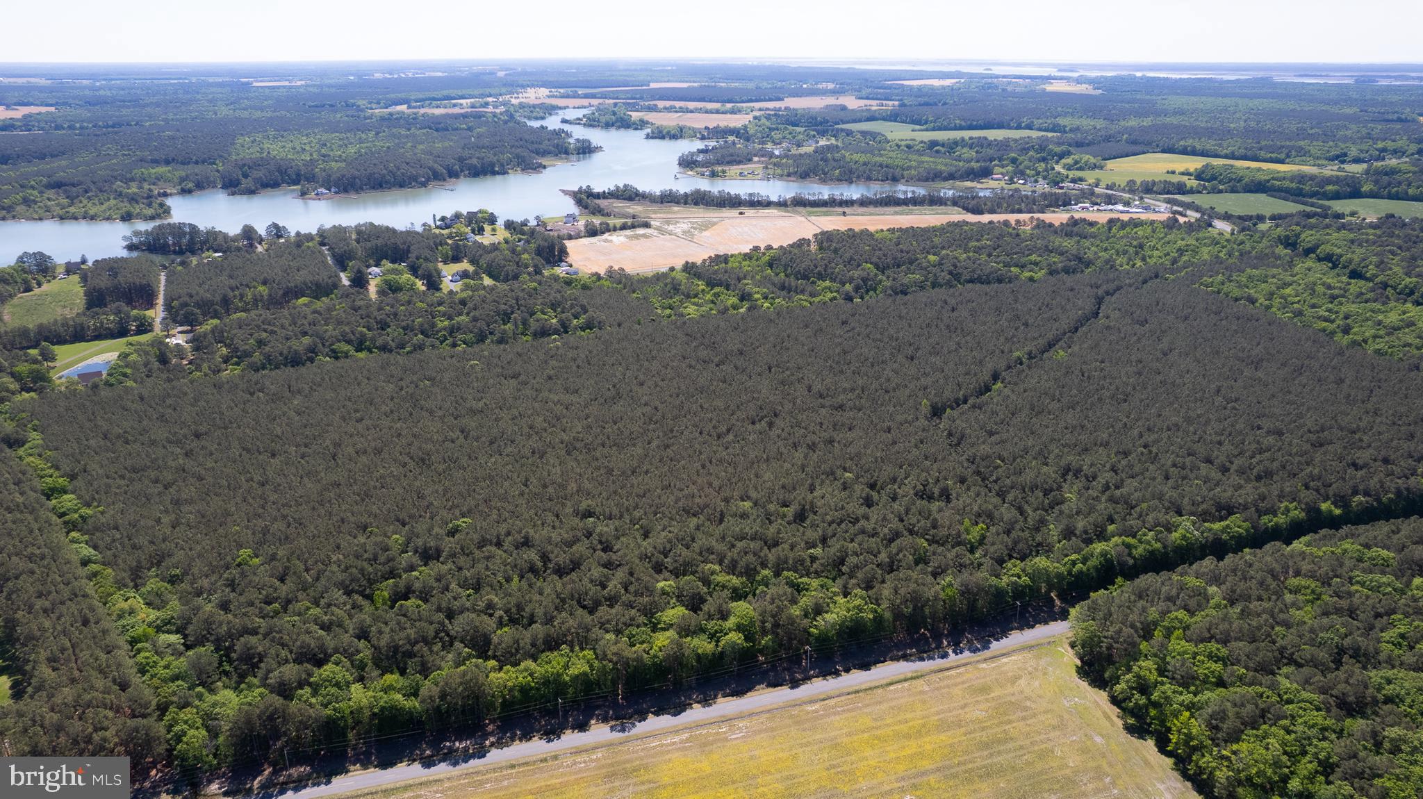 Taylors Island Road Woolford, MD 21677 - Photo 12 of 21 Wooded Aerial