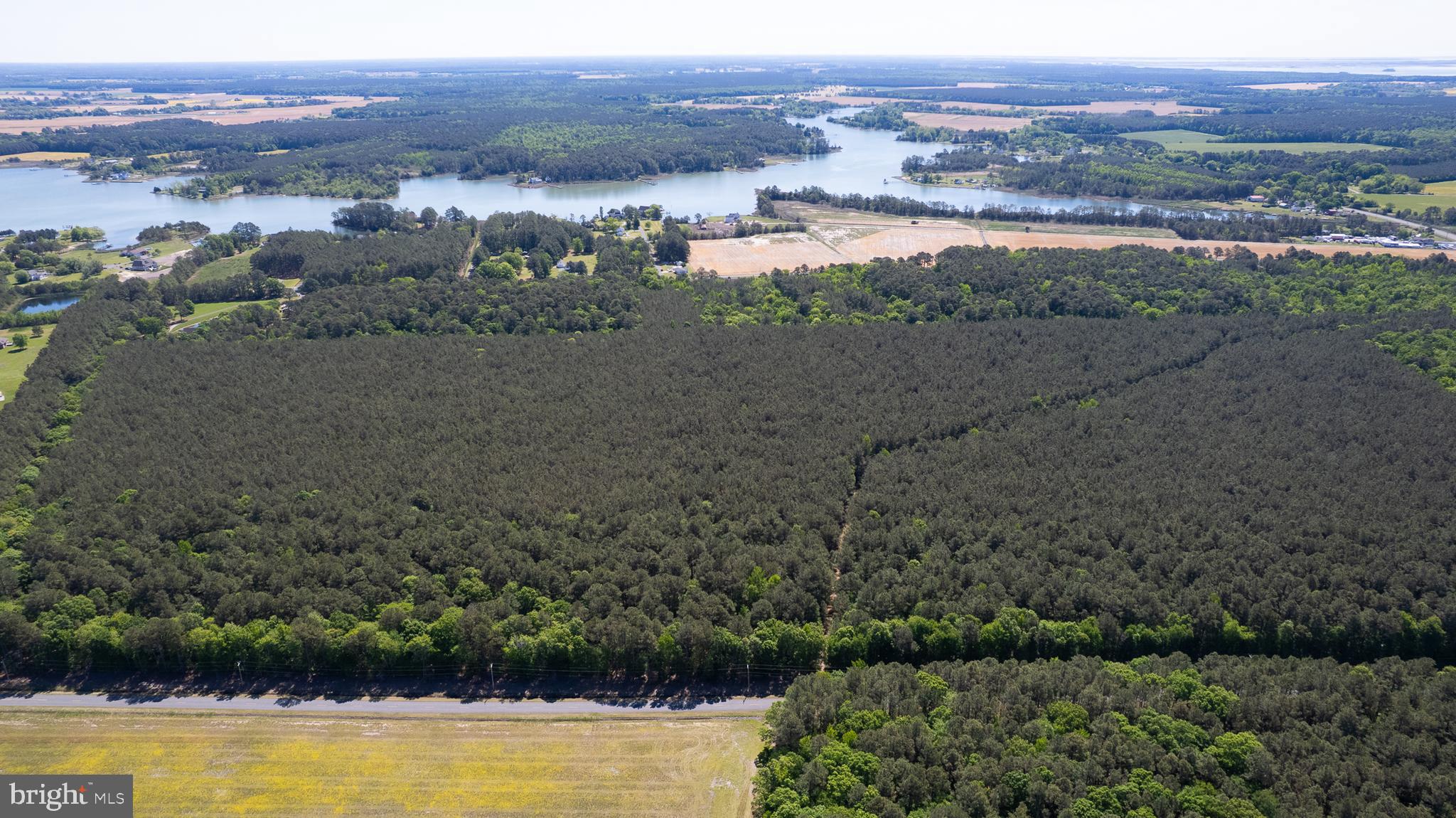 Taylors Island Road Woolford, MD 21677 - Photo 13 of 21 Wooded Aerial